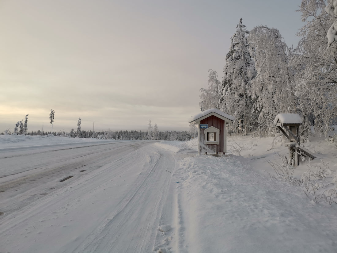 Die Geschichte hinter Nordic Whispers - Eine Reise hoch hinauf